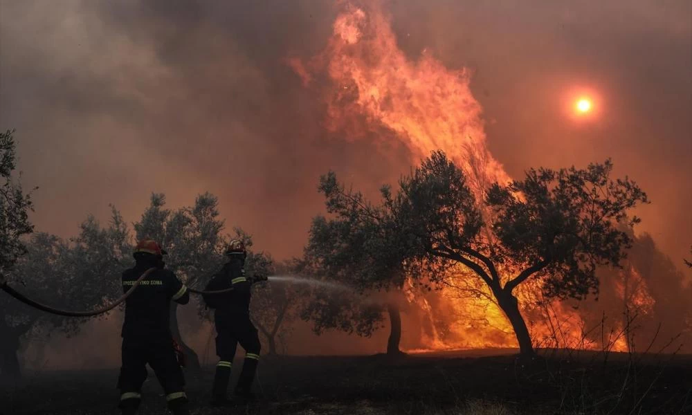 Μεσόγειος: Την τρίτη θέση κατέκτησε η Ελλάδα...σε καμμένες εκτάσεις